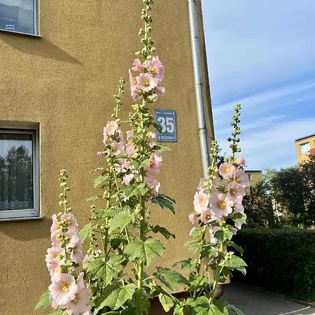 Agapella Apartamenty- Apartament Kraszewskiego Apartmán Sopoty